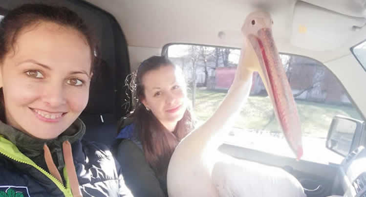 Green Balkans Wildlife Rescue Centre